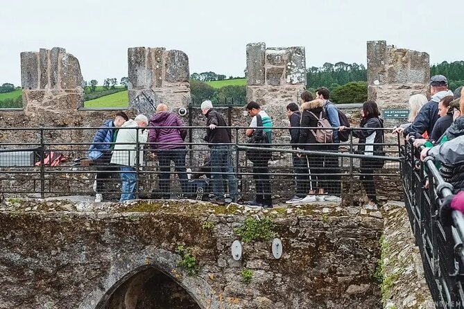 Easy Access Blarney Stone and Castle Gardens Tour - Starting in Blarney village, not just at the castle