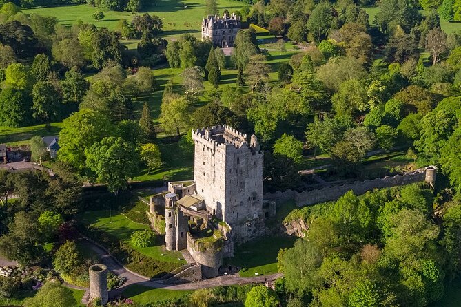 Easy Access Blarney Stone and Castle Gardens Tour - Walking demands and who should skip it