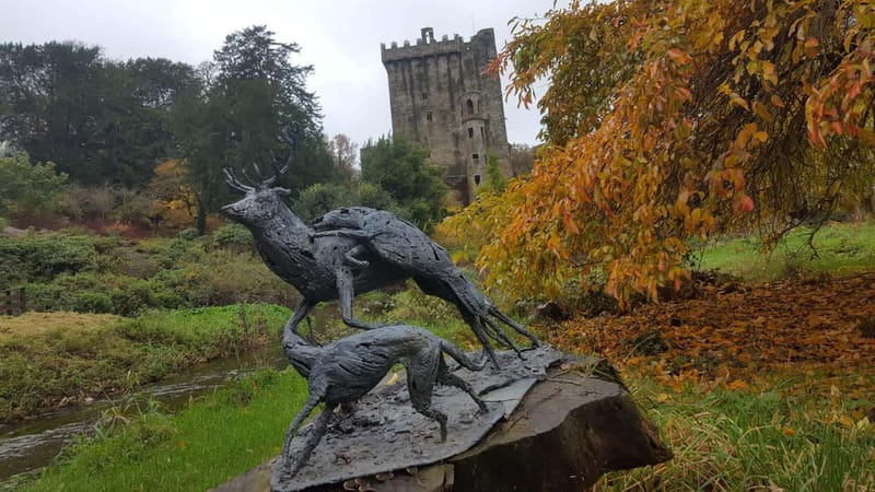 Easy Access - The Blarney Stone & Castle Gardens Tour - What the guides add to the experience