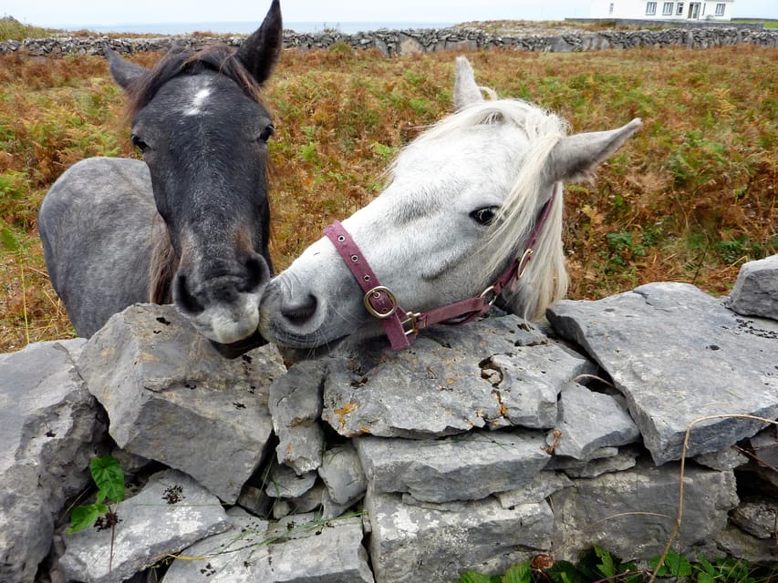 Ebiking on Inishmore island. Aran islands. Self-guided - Music and craic back in Kilronan