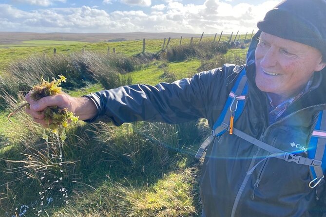 Erris Head Guided Walking Tour (AlchemyTours.ie) - Gubastuckaun, sheep, and a chance to catch your breath