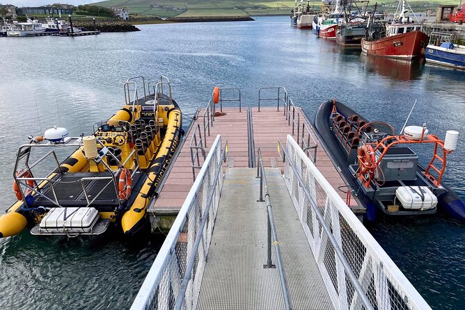 Exhilarating Rib experience - Dingle sea safari - Seals, dolphins and the search for whales