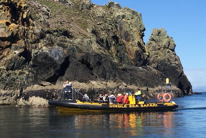 Exhilarating Rib experience - Dingle sea safari - What three hours really feels like