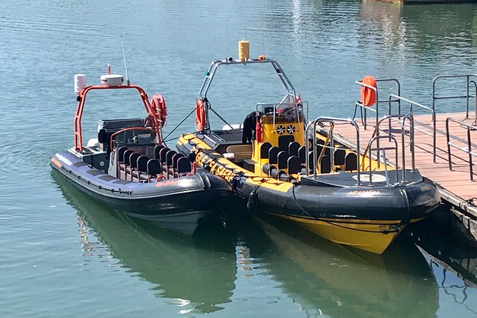 Exhilarating Rib experience - Dingle sea safari - The value of $120.93