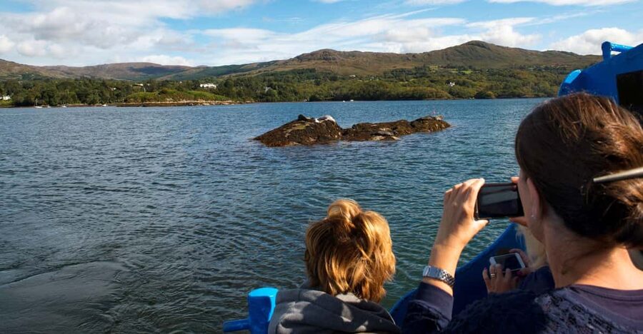Fastnet Rock Lighthouse direct boat tour-Baltimore.Guided. - Why Fastnet Rock matters