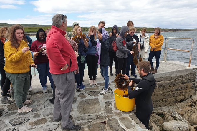 Food, heritage & cultural tour Inishmore, Aran Islands. Guided. - The Seven Churches and Inishmore’s religious past