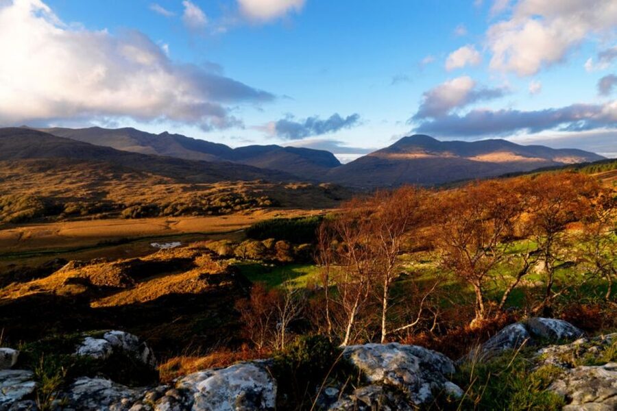 From Cork: 9-Hour Guided Ring of Kerry and Killarney Tour - Who should book this Ring of Kerry tour?