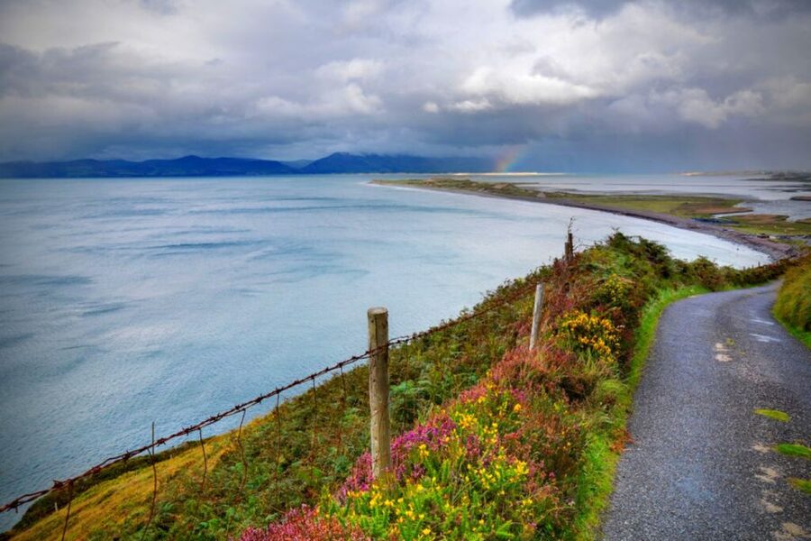 From Cork: 9-Hour Guided Ring of Kerry and Killarney Tour - Lunch in Sneem beside Kenmare Bay