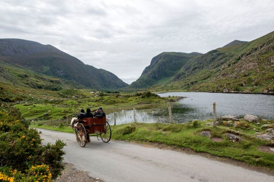 From Cork: 9-Hour Guided Ring of Kerry and Killarney Tour - Moll’s Gap, the Black Valley, and Ladies View