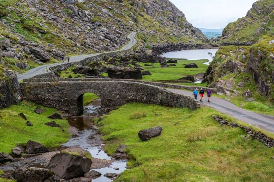 From Cork: 9-Hour Guided Ring of Kerry and Killarney Tour - Woodlands and Killarney