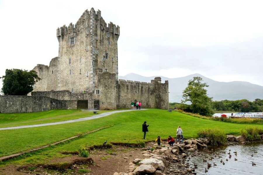 From Cork: 9-Hour Guided Ring of Kerry and Killarney Tour - What the guide adds to the long ride