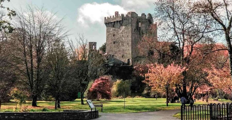 From Cork: County Cork Highlights Tour with Entrance Tickets - Blarney Castle and the stone before the crowds