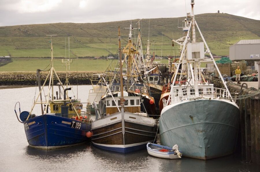From Cork: Full-Day Guided Tour to Dingle Peninsula - Who will enjoy this Cork day trip