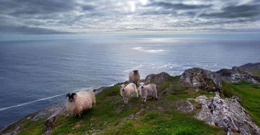 From Cork: Guided Full-Day West Cork to Mizen Head Tour - Key points at a glance