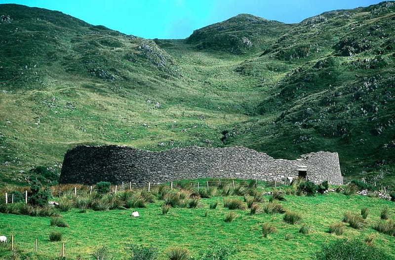 From Cork: Ring of Kerry & Killarney Guided Full Day Tour - What the guide adds to the long drive