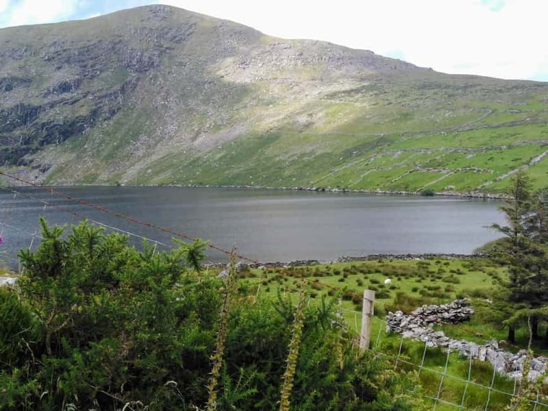 From Cork: Ring of Kerry & Killarney Guided Full Day Tour - Practical ways to enjoy the route