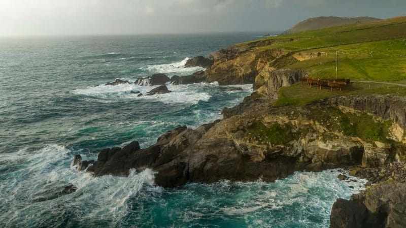 From Cork: Ring of Kerry & Killarney Guided Full Day Tour - Kerry Bog Village and old rural life