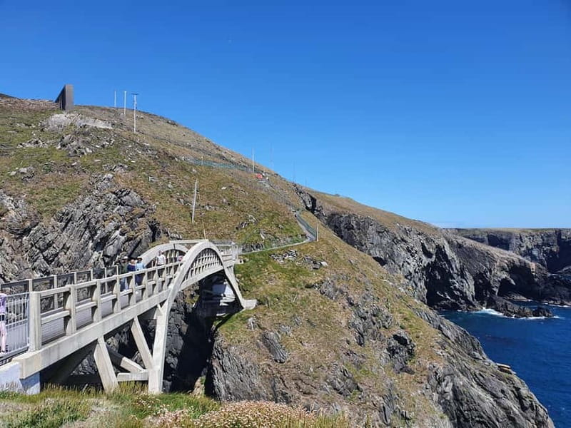 From Cork: West Cork to Mizen Head Guided Full Day Tour - Who should book this day trip?