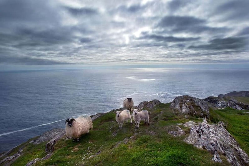 From Cork: West Cork to Mizen Head Guided Full Day Tour - Bantry, West Cork’s market town