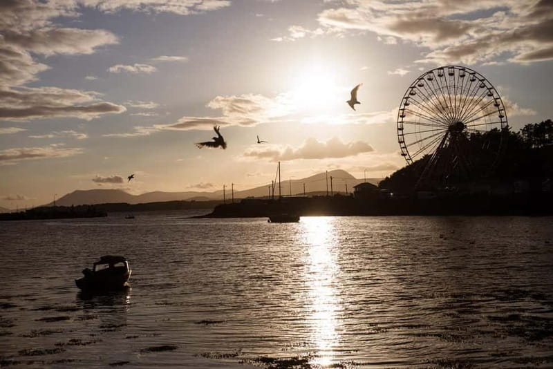 From Cork: West Cork to Mizen Head Guided Full Day Tour - What the guiding adds