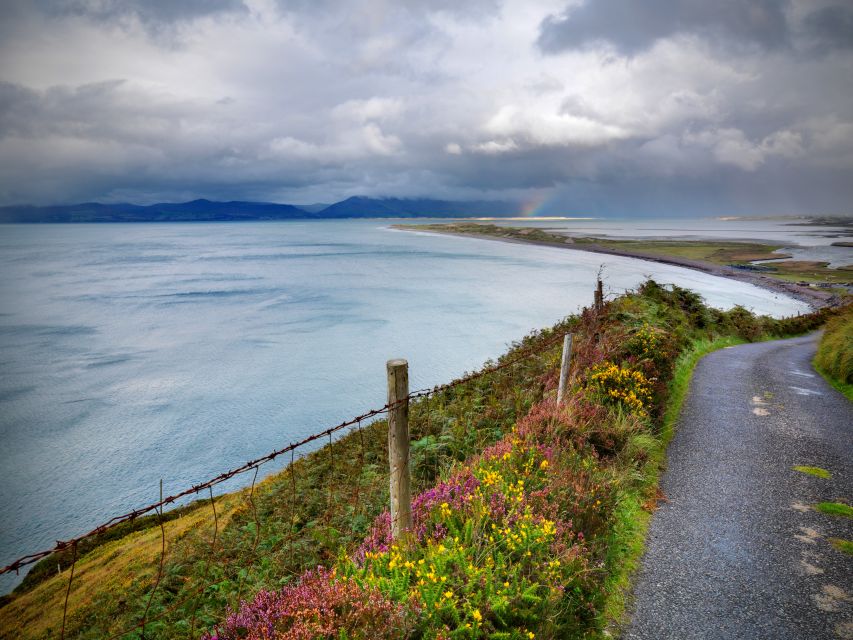 From Dublin: 3-Day Cork, Ring of Kerry, Ciffs of Moher Tour - The guide makes the packed schedule easier