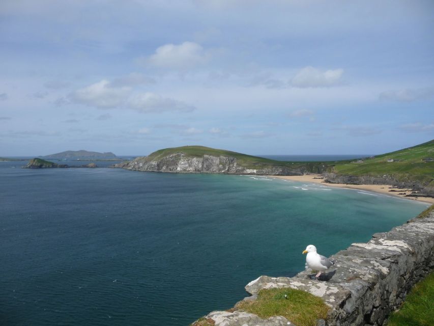 From Dublin: 5-Day Tour to the Southwest with Accommodation - Who will enjoy this five-day route