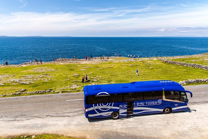 From Dublin: Cliffs of Moher, Bird of Prey & Aillwee Cave - Why this Dublin to Clare day trip works