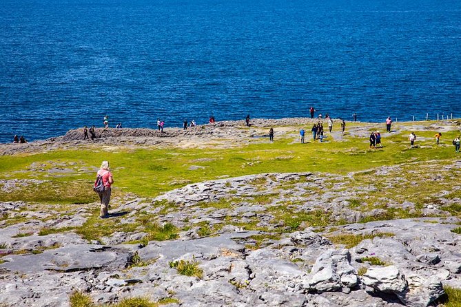 From Dublin: Cliffs of Moher, Bird of Prey & Aillwee Cave - Who should book this tour?