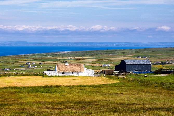 From Dublin: Cliffs of Moher, Bird of Prey & Aillwee Cave - Practical details for your day