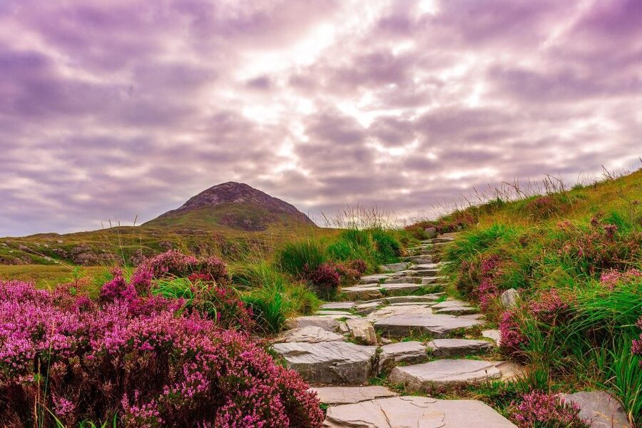 From Dublin: Connemara and Galway Bay Day Tour - Clifden, the capital of Connemara
