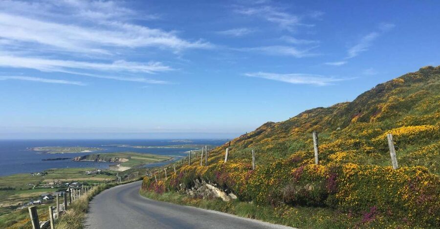 From Dublin: Connemara and Galway Bay Day Tour - Galway, the City of the Tribes