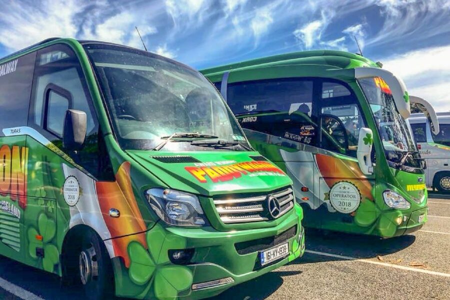 From Dublin: Connemara and Galway Full-Day Tour - Cong village from November through March