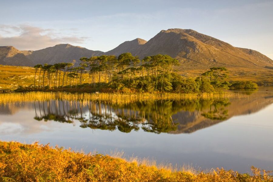 From Dublin: Connemara and Galway Full-Day Tour - Galway Bay and the final approach to Galway