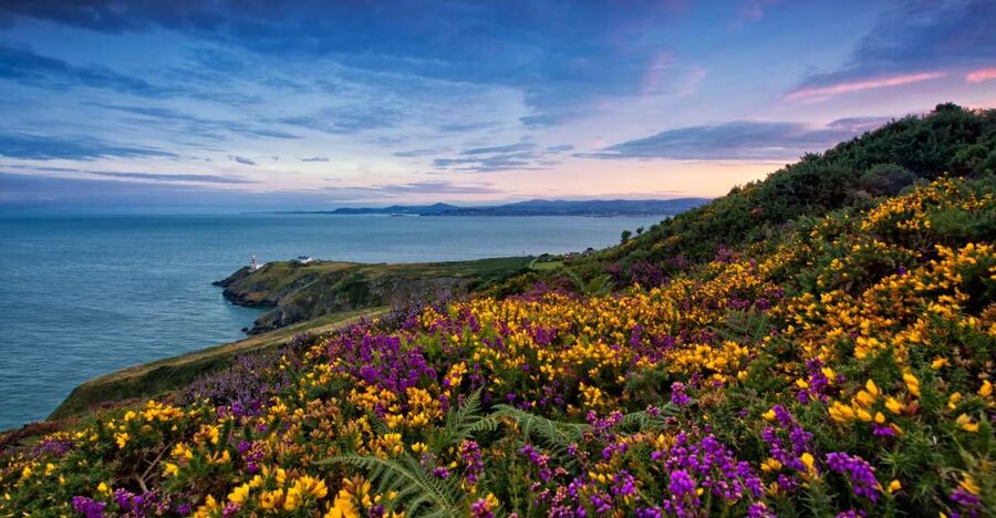From Dublin: Half-Day Guided Coastal Tour to Howth Village - Why Howth makes a smart half-day escape