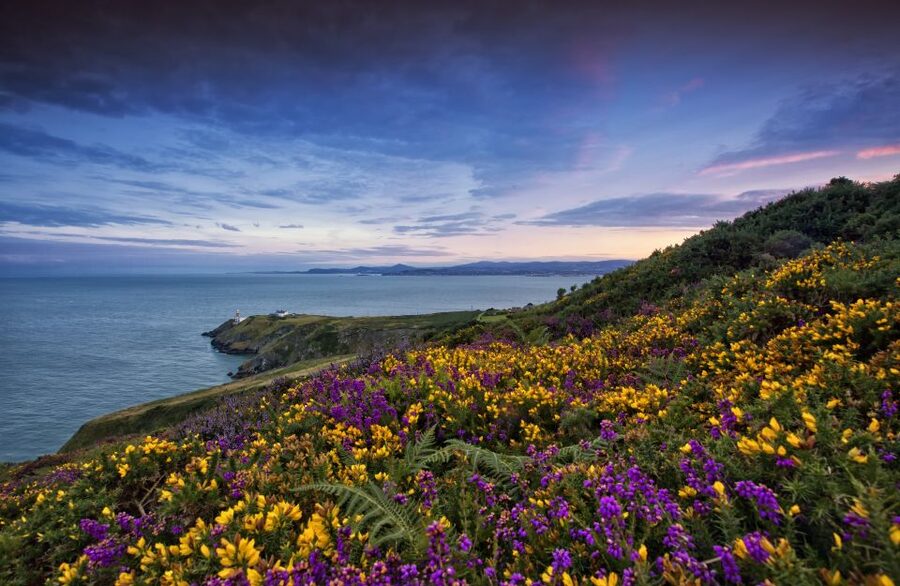 From Dublin: Half-Day Guided Coastal Tour to Howth Village - Meeting the bus on Upper O’Connell Street