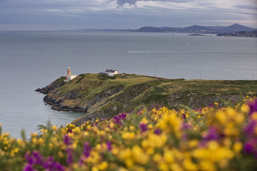 From Dublin: Half-Day Guided Coastal Tour to Howth Village - Free time in Howth Village