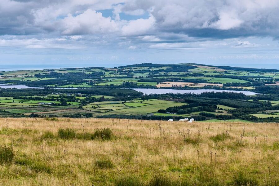 From Dublin: Wicklow Mountains, Glendalough & Kilkenny Tour - How the guides shape the experience