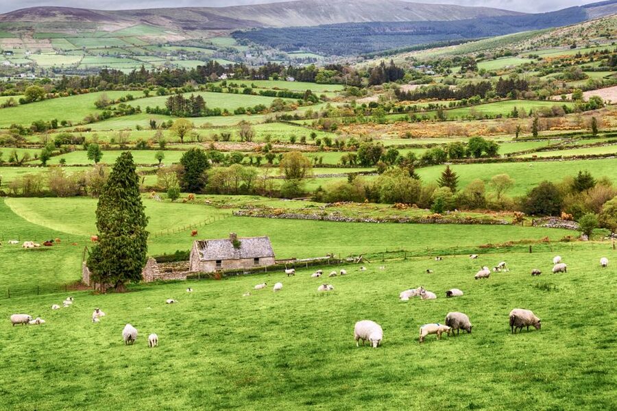 From Dublin: Wicklow Mountains, Glendalough & Kilkenny Tour - Who should book this tour