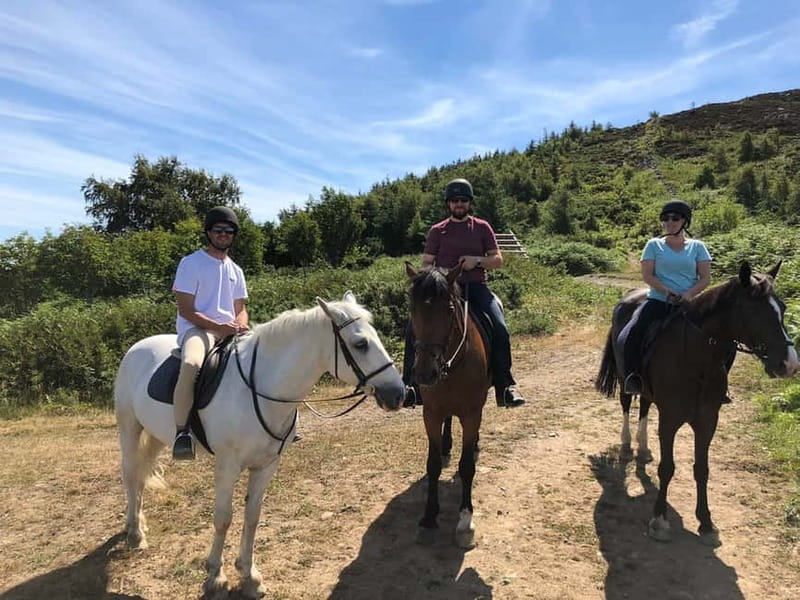 From Dublin: Wicklow, Powerscourt, and Glendalough Day Tour - FAQ