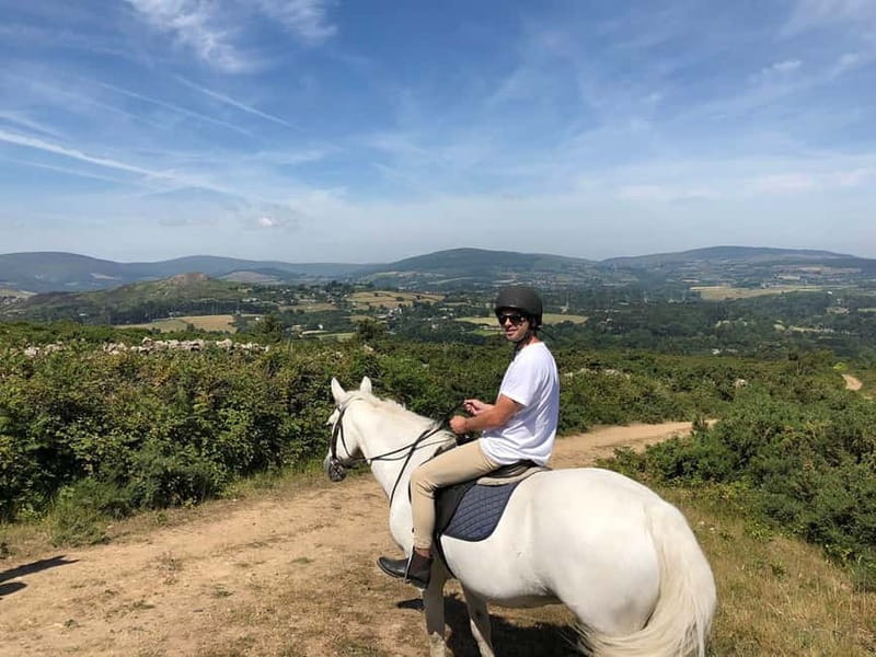 From Dublin: Wicklow, Powerscourt, and Glendalough Day Tour - Leaving Dublin for County Wicklow