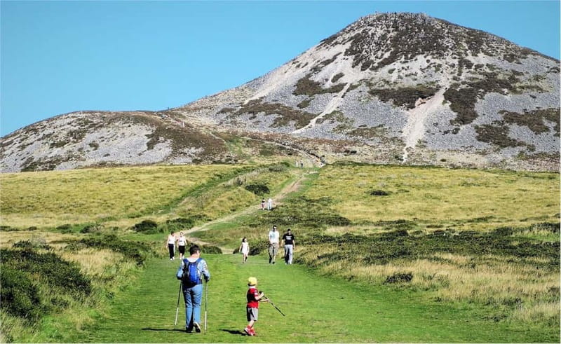 From Dublin: Wicklow, Powerscourt, and Glendalough Day Tour - Along the Wicklow mountain roads