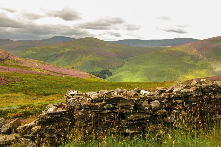From Dublin: Wild Wicklow Mountains and Glendalough Tour - The coach, guide, and pace