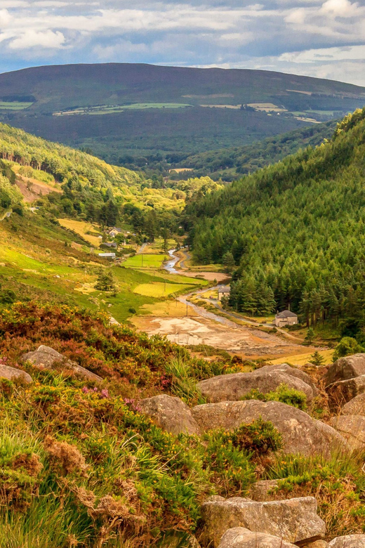 From Dublin: Wild Wicklow Mountains and Glendalough Tour - Sally Gap and the open Wicklow country