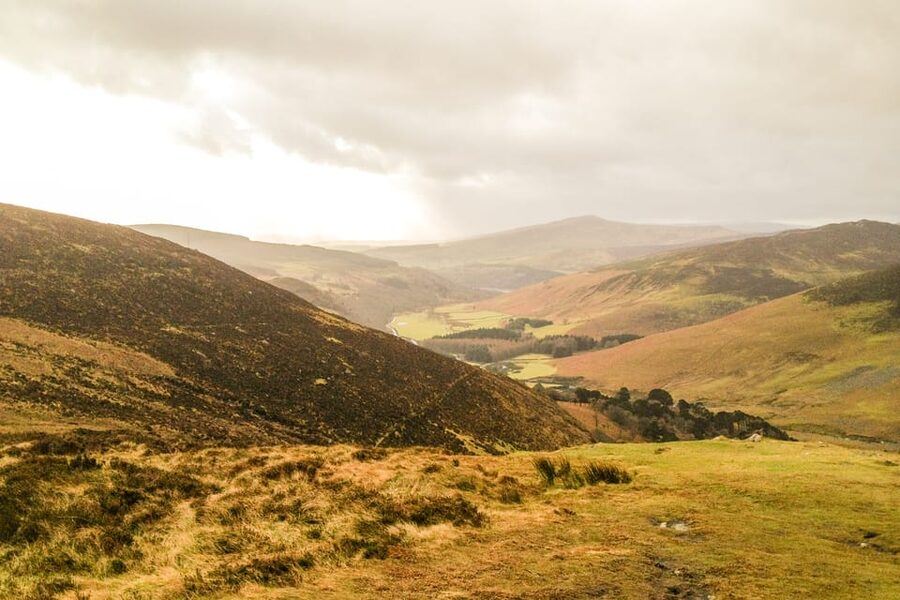 From Dublin: Wild Wicklow Mountains and Glendalough Tour - One hour between the Upper and Lower Lakes