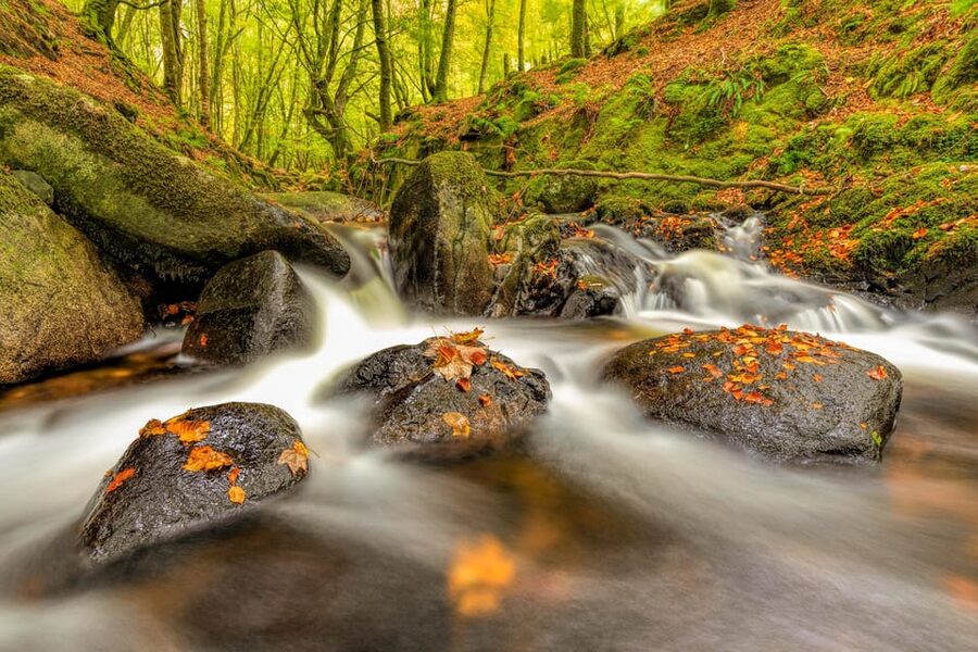 From Dublin: Wild Wicklow Mountains and Glendalough Tour - A Glendalough whiskey tasting to finish