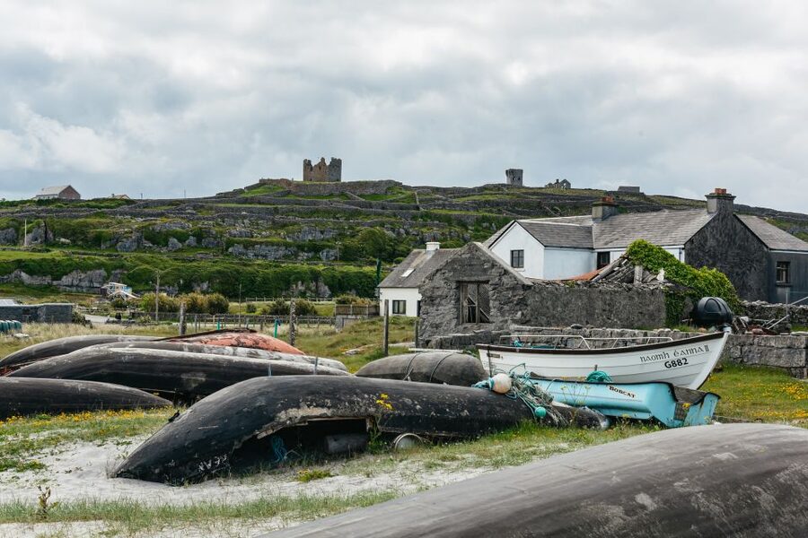 From Galway: Aran Islands & Cliffs of Moher Full-Day Trip - One hour above the Cliffs of Moher