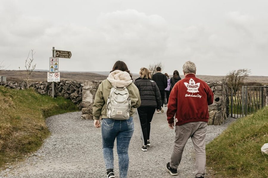From Galway: Cliffs of Moher and The Burren Guided Day Trip - Who should book this day out