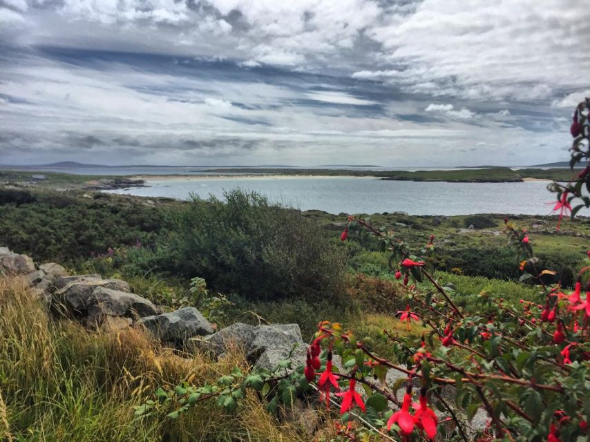 From Galway: Connemara and Kylemore Abbey Day Tour - Galway Bay to the open Connemara coast