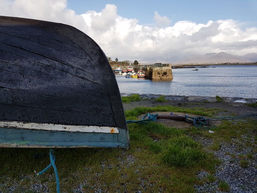 From Galway: Connemara and Kylemore Abbey Day Tour - Who will enjoy this Connemara day most?