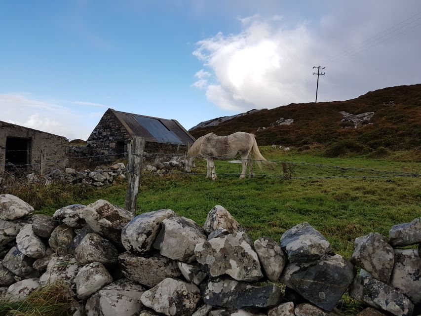 From Galway: Connemara and Kylemore Abbey Day Tour - Bus comfort, timing, and useful preparation